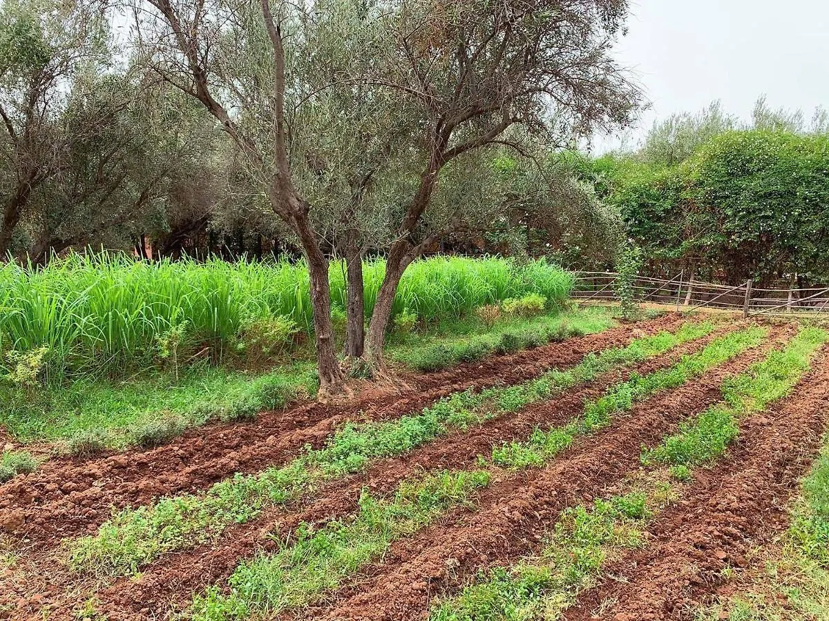 *** Couette-café Bed and Breakfast La Ferme Berbere Adult Only à El Harkat Maroc