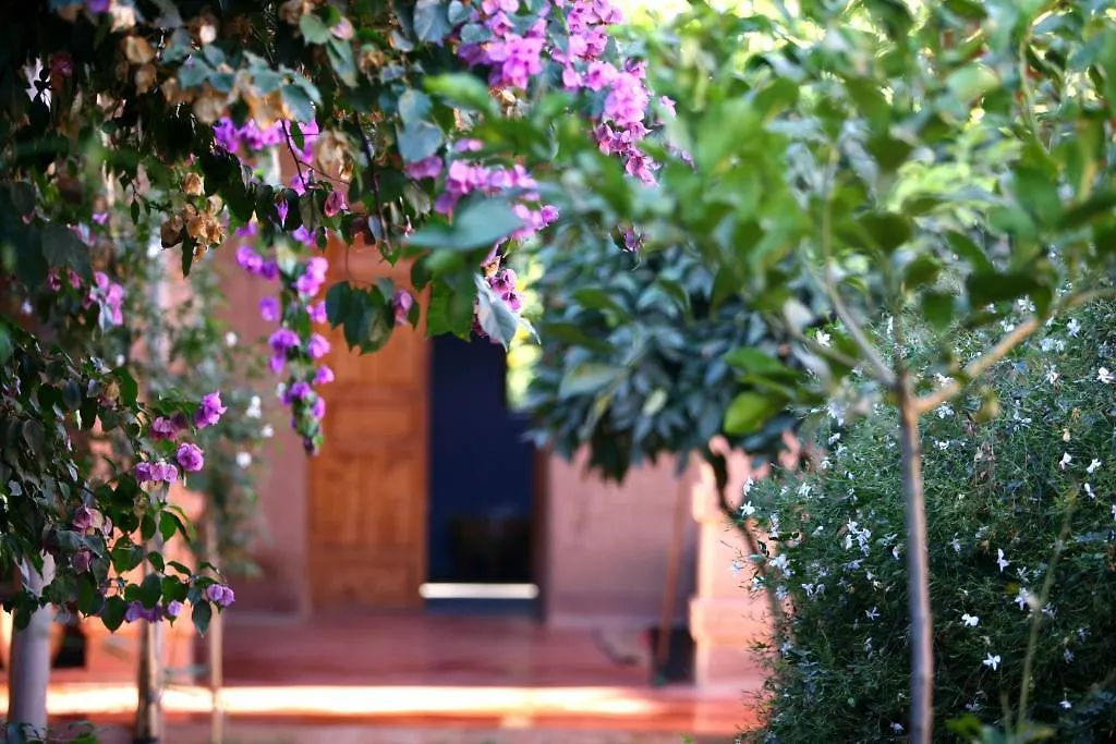 Couette-café Bed and Breakfast La Ferme Berbere Adult Only à El Harkat
