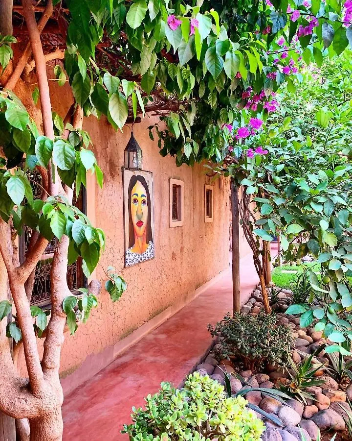 Bed & Breakfast La Ferme Berbere Adult Only