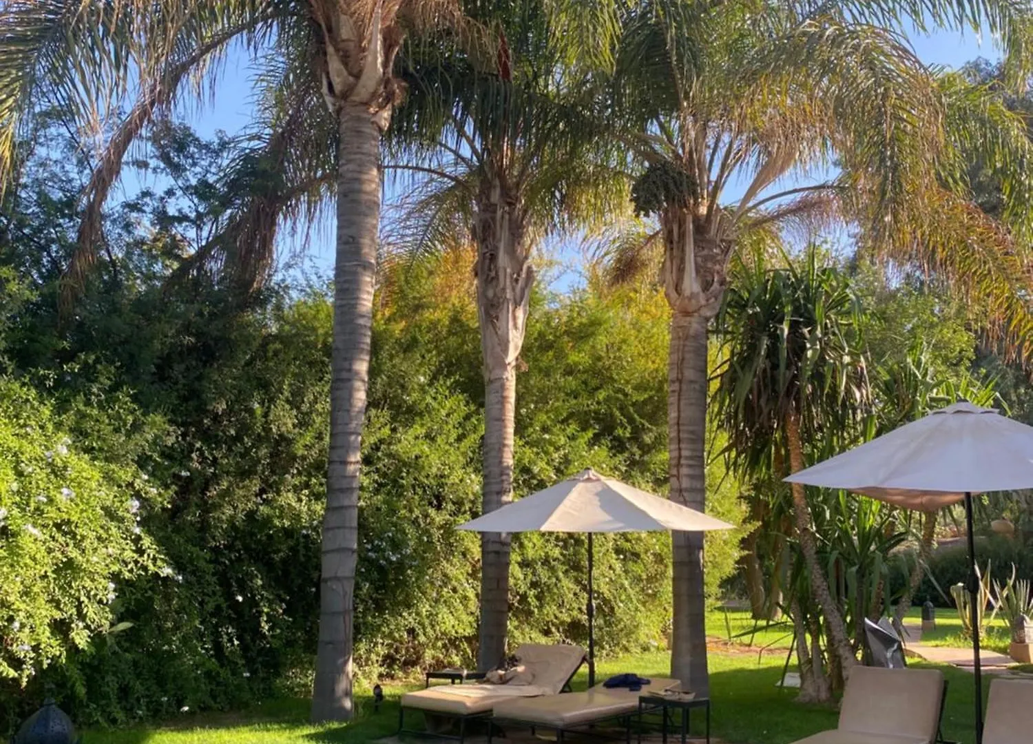 Bed & Breakfast La Ferme Berbere Adult Only Bed and Breakfast El Harkat